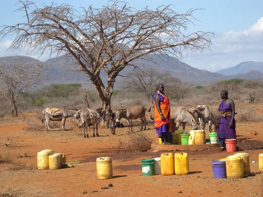 Zwei Menschen in Tansania in traditioneller Kleidung auf dem Land. Sie transportieren Wasser in großen Plastikbehältern mithilfe von Eseln. Im Hintergrund stehen einige Esel unter einem Baum.